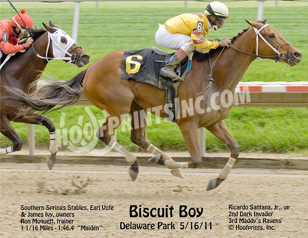 Biscuit Boy15