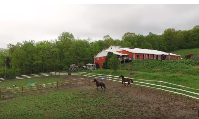 About Us | Second Chance Thoroughbreds, Inc.