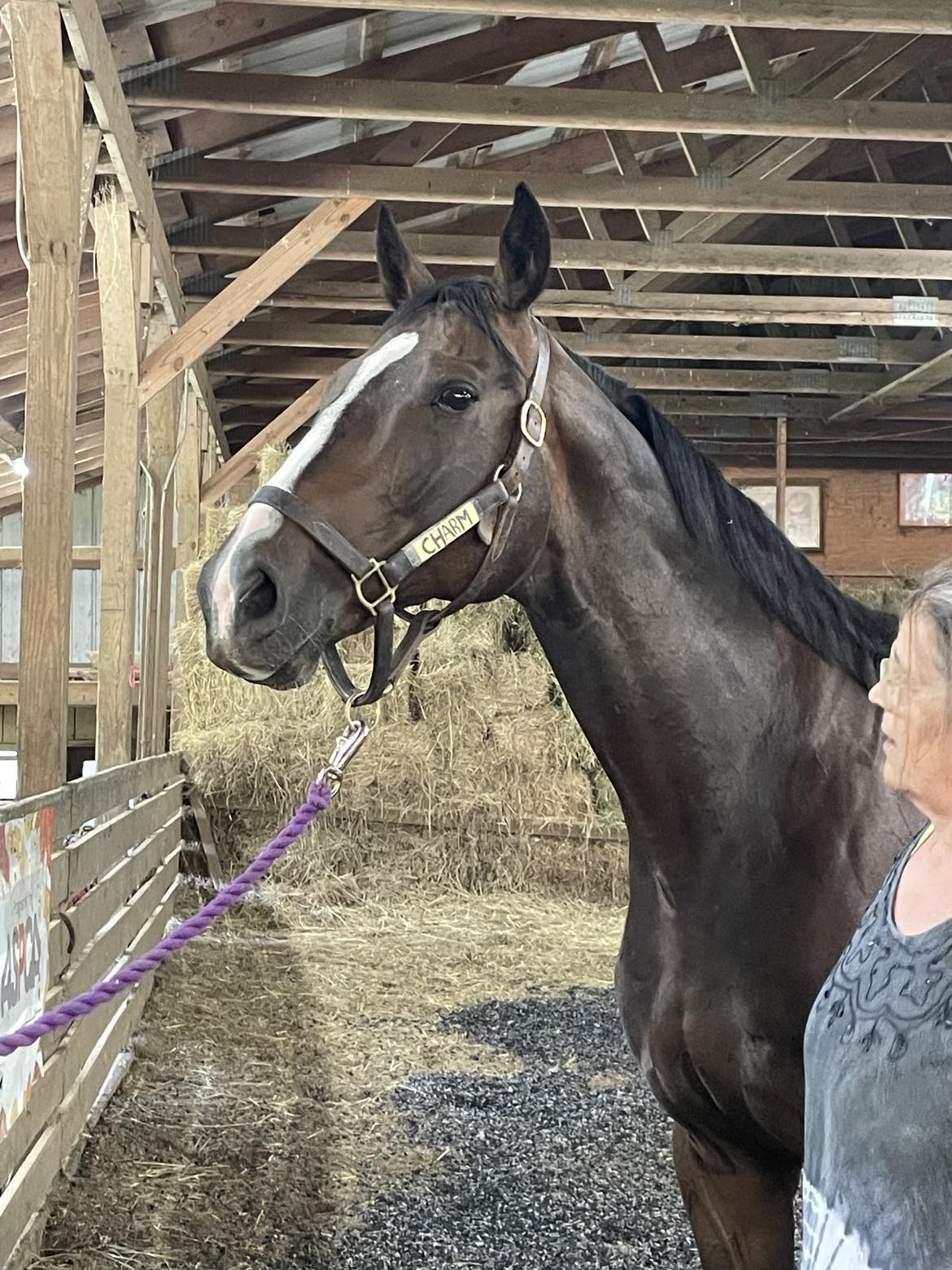 Eye Luv Lulu | Second Chance Thoroughbreds, Inc.