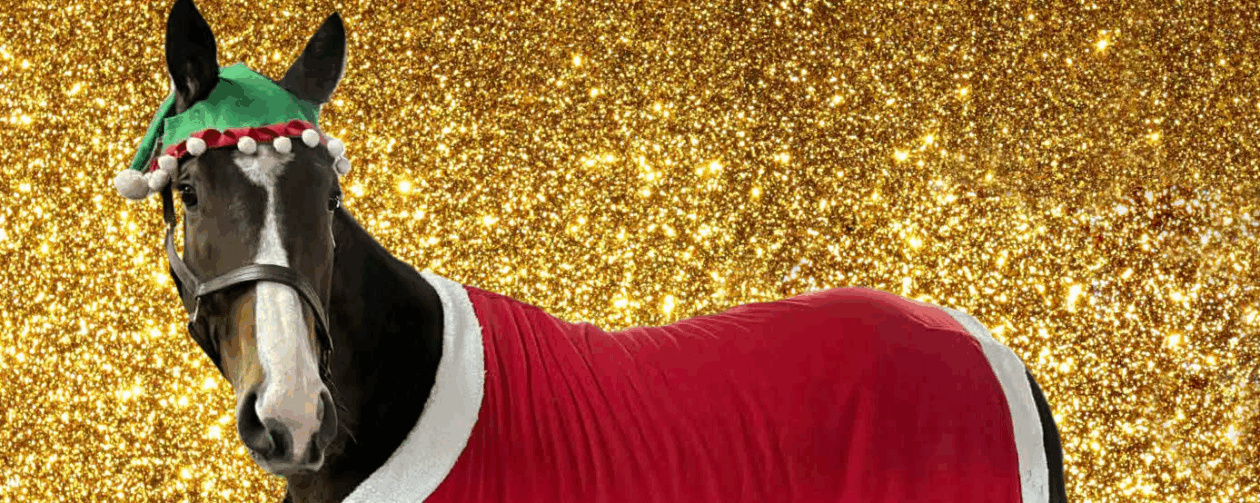 Second Chance Thoroughbreds, Inc.