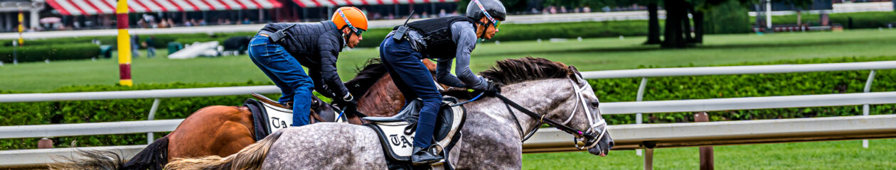 Second Chance Thoroughbreds, Inc.